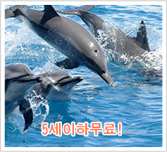 돌고래관찰　＆　오션파크