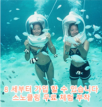 아쿠아워크&스노클링